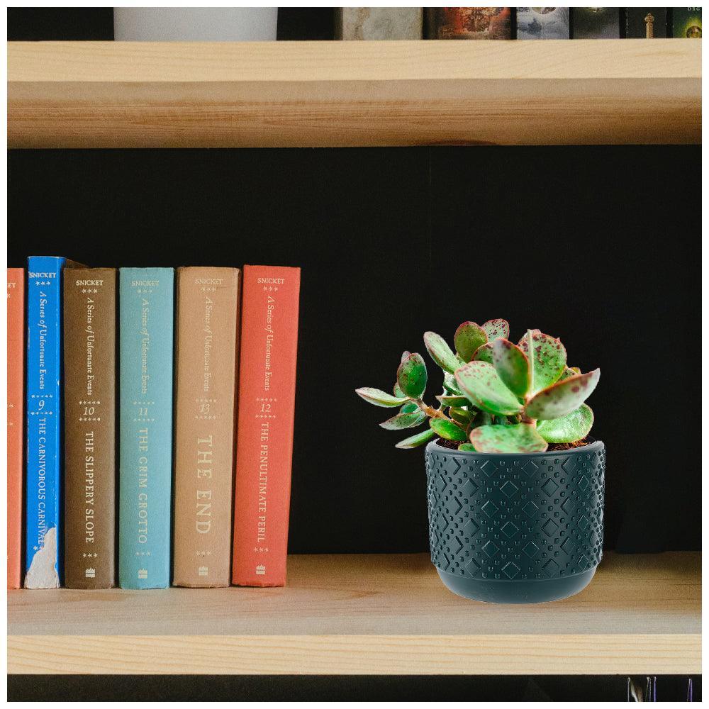 Maceta Decorativa Macetero Circular L53 - Keller Perú