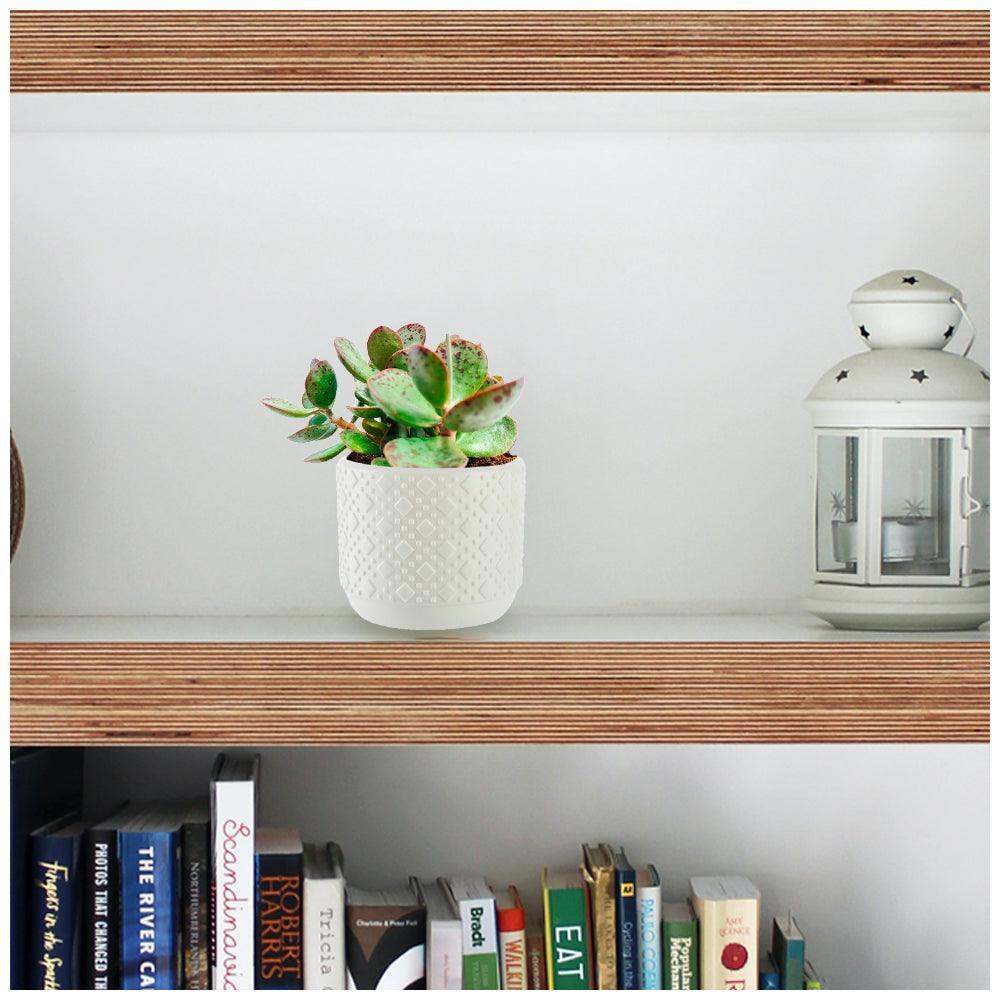 Maceta Decorativa Macetero Circular L53 - Keller Perú