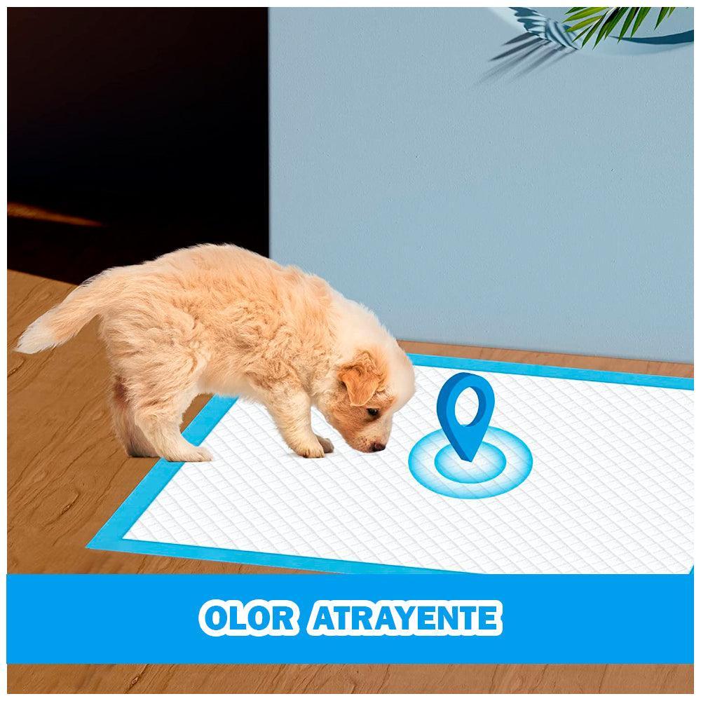 Pañales de Piso Absorbentes Desechables para Perros Mascotas Talla L 40 UDS - Keller Perú