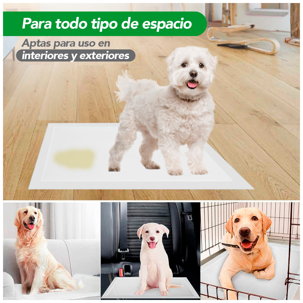 Pack x3 Pañales para Mascotas Super Absorbente Talla L 30 UND HY6