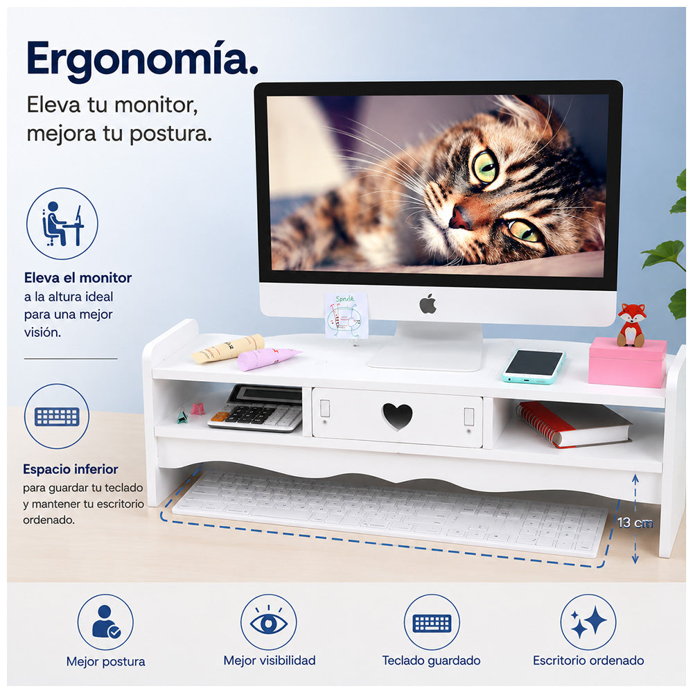 Soporte para Monitor con Cajón y Organizador de Escritorio Multifuncional A43