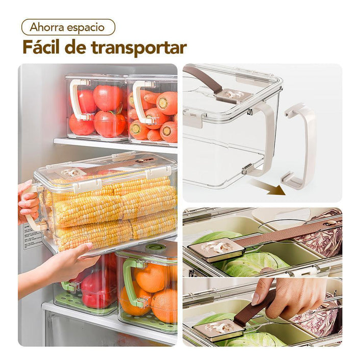 Táper Contenedor Hermético de Alimentos con Asa T01