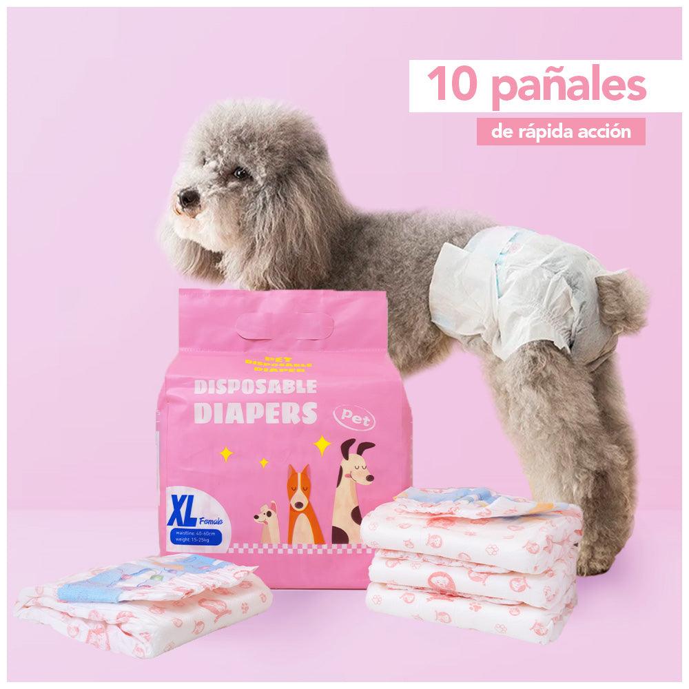 Pañales Absorbentes para Mascotas Perros Hembra Talla XL JP3 - Keller Perú