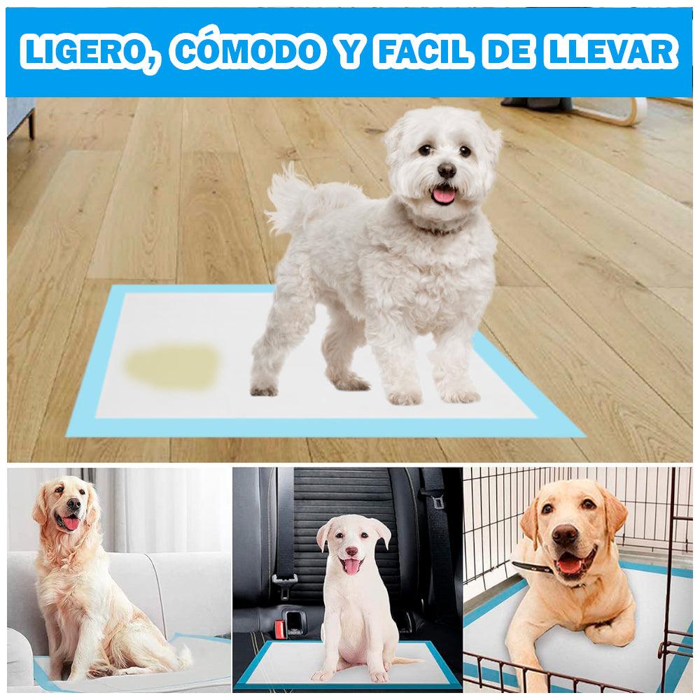 Pañales de Piso Absorbentes Desechables para Perros Mascotas Talla L 40 UDS - Keller Perú